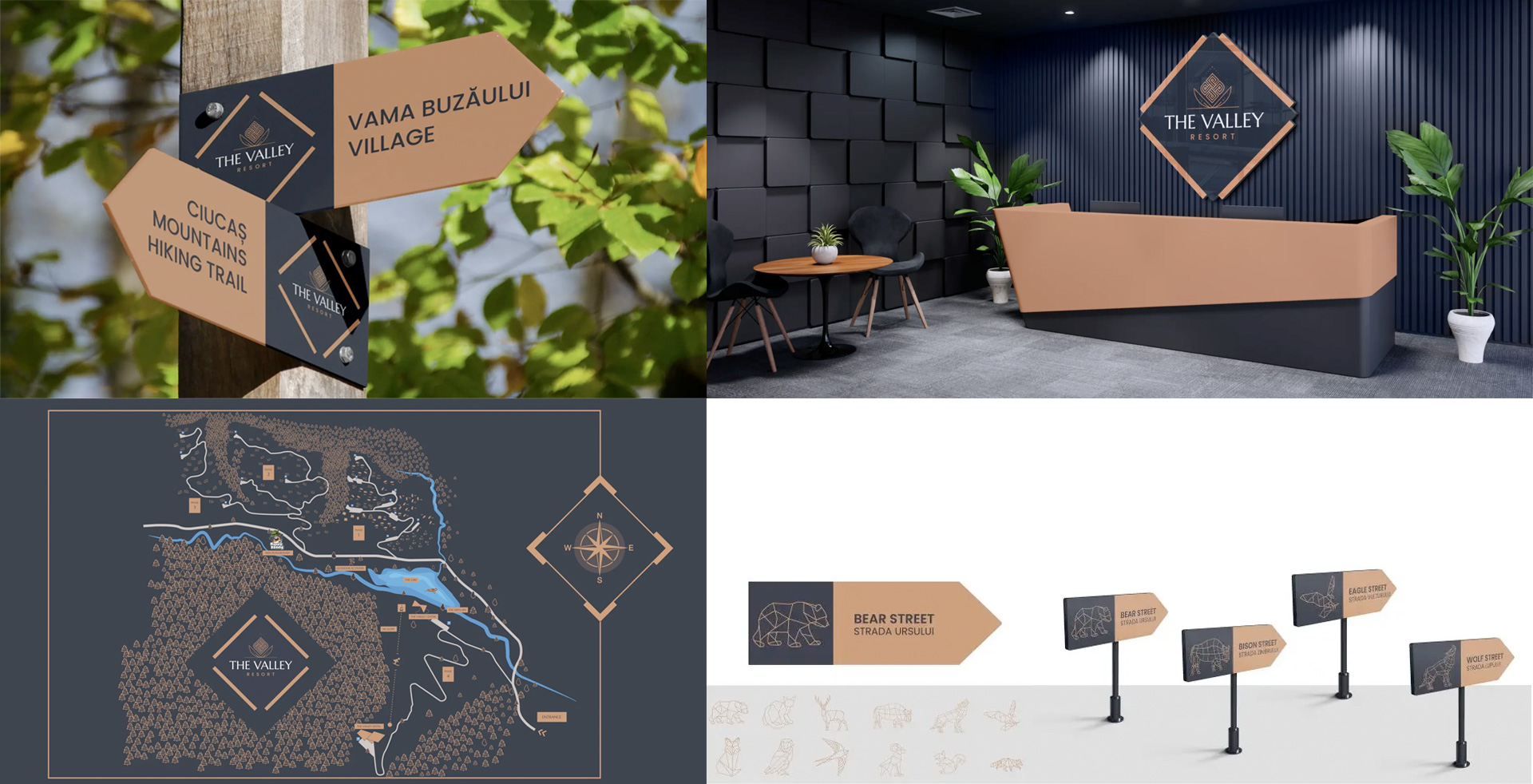 Design de aplicatii brand