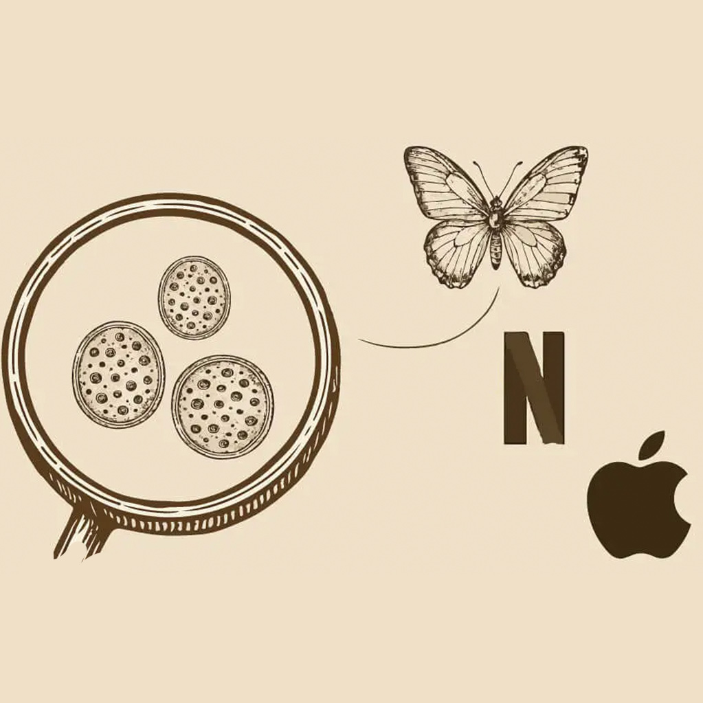 rebranding radical