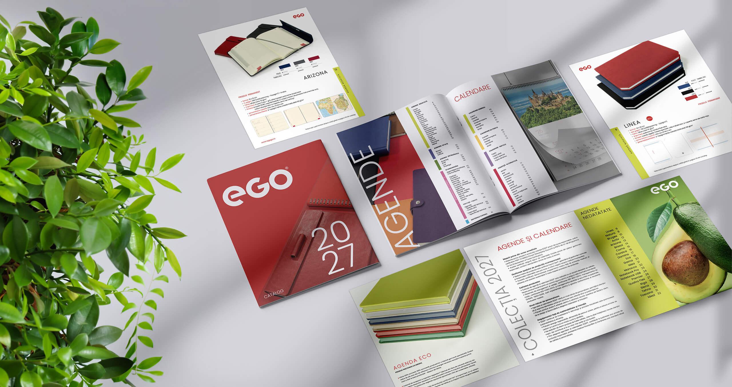 13.-design-catalog-ego